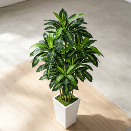 6FT Artificial Dracaena Tree with White Planter